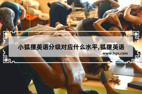 小狐狸英语分级对应什么水平,狐狸英语