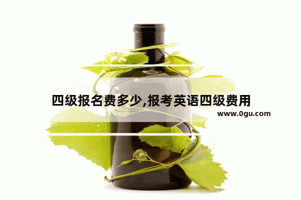 四级报名费多少,报考英语四级费用