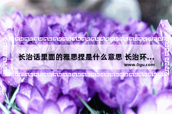 长治话里面的雅思捏是什么意思 长治环球雅思