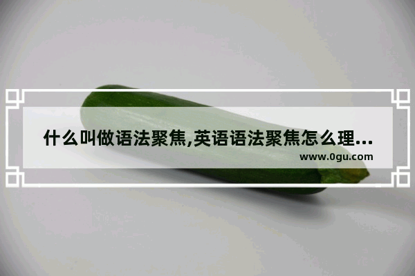 什么叫做语法聚焦,英语语法聚焦怎么理解的