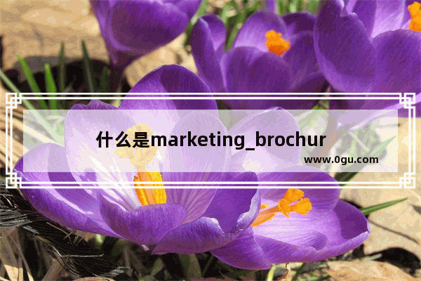 什么是marketing_brochure和guide之间的区别