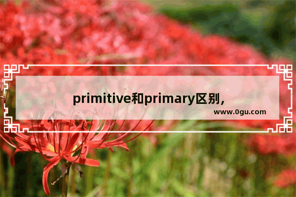 primitive和primary区别,开化县实验小学英语