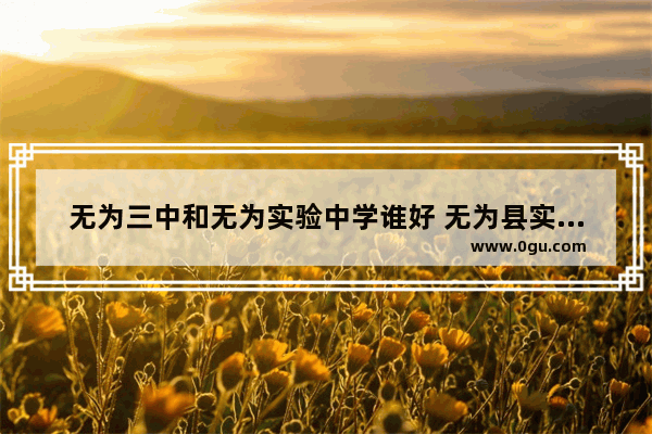 无为三中和无为实验中学谁好 无为县实验小学英语