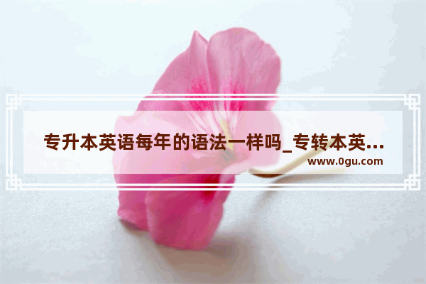 专升本英语每年的语法一样吗_专转本英语考试有没有首字母填空