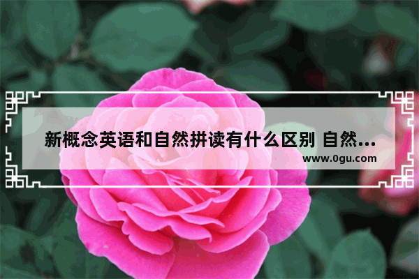 新概念英语和自然拼读有什么区别 自然拼读英语