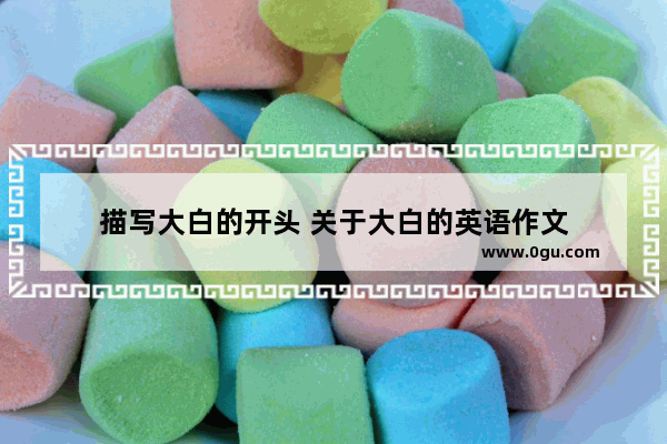 描写大白的开头 关于大白的英语作文
