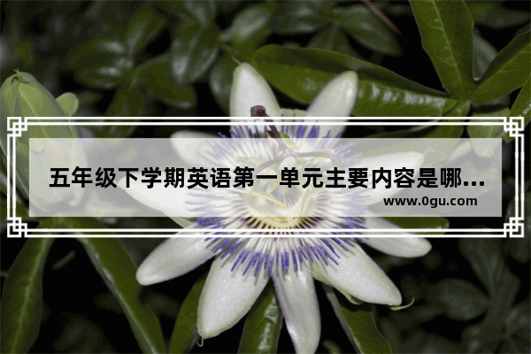 五年级下学期英语第一单元主要内容是哪 小学五年级下册英语第一单元