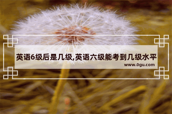 英语6级后是几级,英语六级能考到几级水平