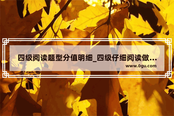 四级阅读题型分值明细_四级仔细阅读做对4题多少分