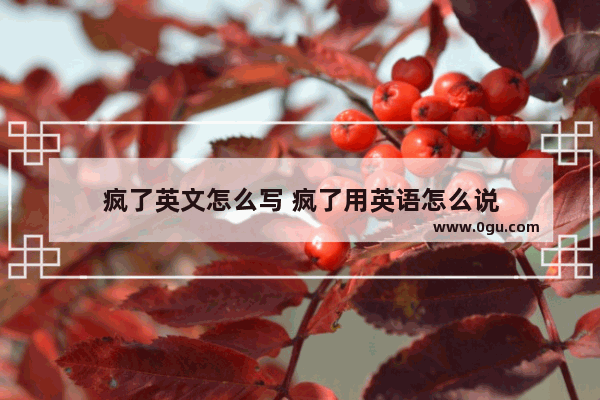 疯了英文怎么写 疯了用英语怎么说