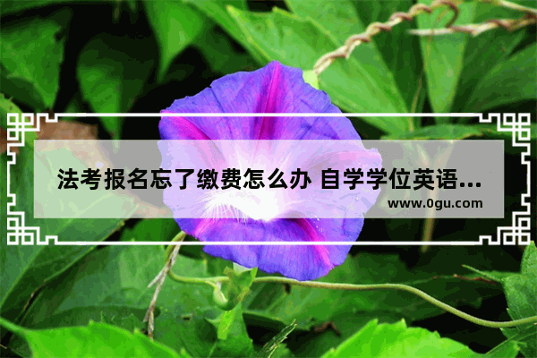 法考报名忘了缴费怎么办 自学学位英语考试忘记报名