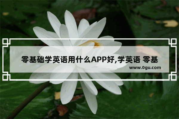 零基础学英语用什么APP好,学英语 零基础