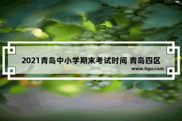 2021青岛中小学期末考试时间 青岛四区 期末 英语考试