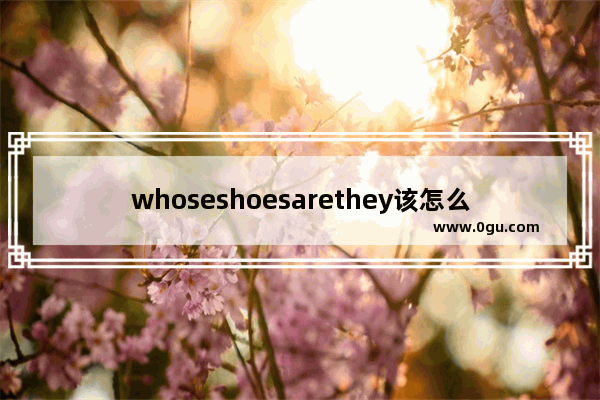 whoseshoesarethey该怎么回答_who is the man为什么不能用who is a man