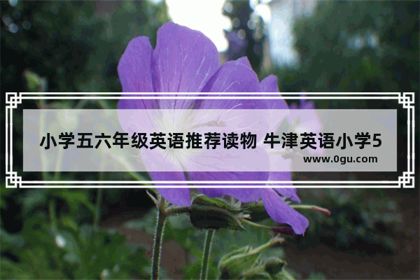 小学五六年级英语推荐读物 牛津英语小学5年级