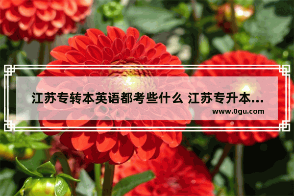 江苏专转本英语都考些什么 江苏专升本英语听力答案