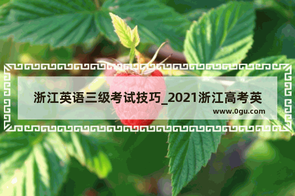 浙江英语三级考试技巧_2021浙江高考英语题型及分值