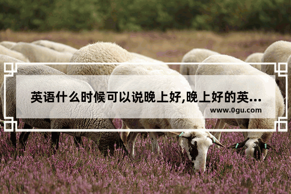 英语什么时候可以说晚上好,晚上好的英语怎么说