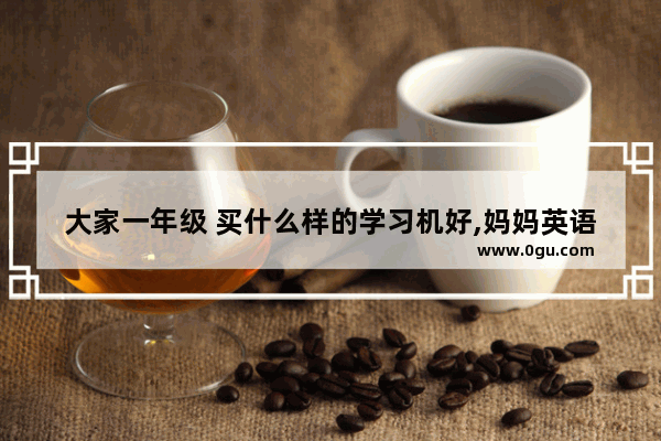 大家一年级 买什么样的学习机好,妈妈英语听力点读机