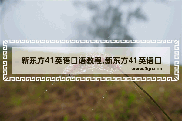 新东方41英语口语教程,新东方41英语口语教程