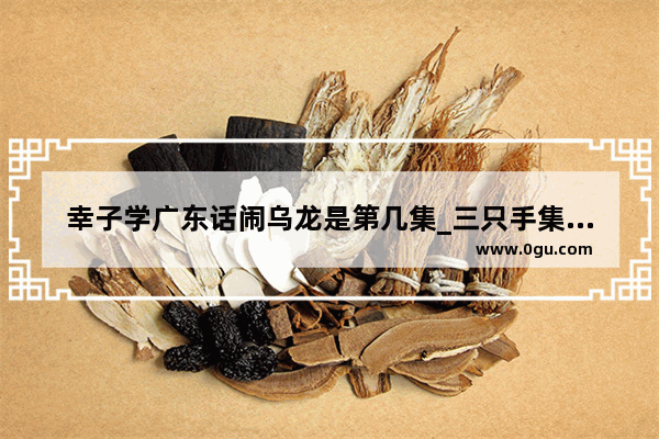 幸子学广东话闹乌龙是第几集_三只手集团是做什么的