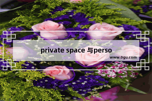 private space 与personal space区别_1pb多少空间