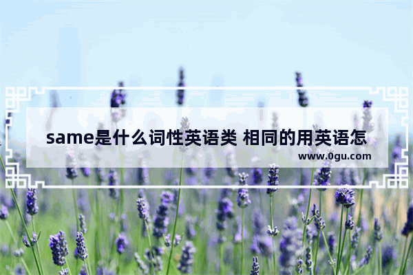 same是什么词性英语类 相同的用英语怎么说