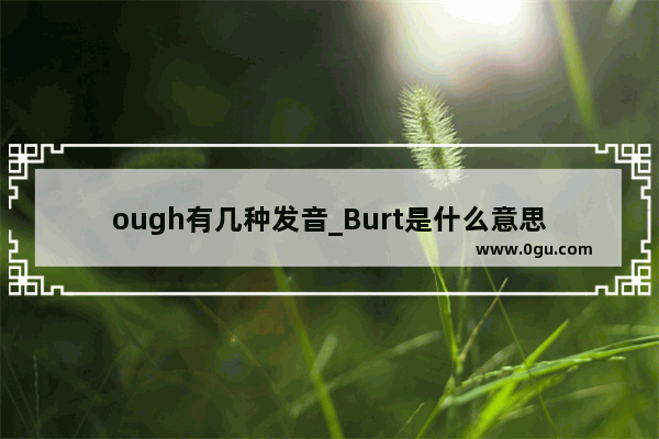 ough有几种发音_Burt是什么意思