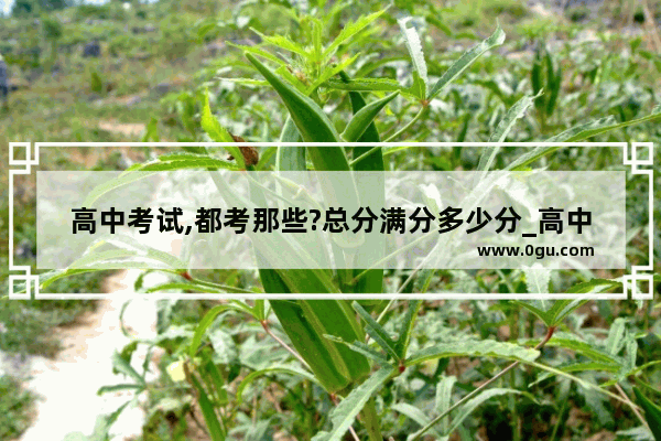 高中考试,都考那些?总分满分多少分_高中考大学要考几科,分别是什么