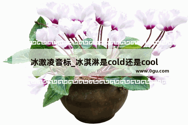 冰激凌音标_冰淇淋是cold还是cool