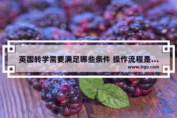 英国转学需要满足哪些条件 操作流程是哪样的,雅思口语搬家转学