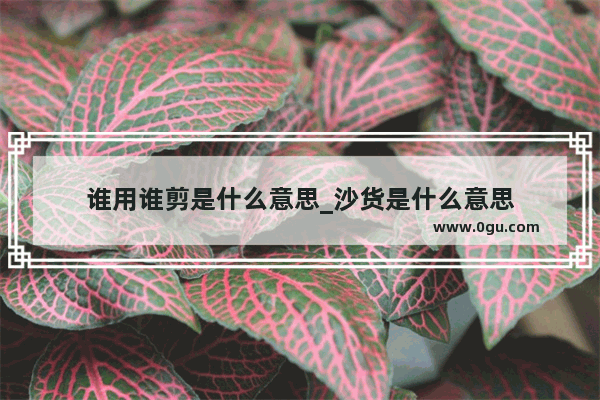 谁用谁剪是什么意思_沙货是什么意思