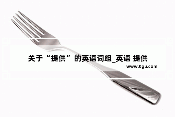 关于“提供”的英语词组_英语 提供