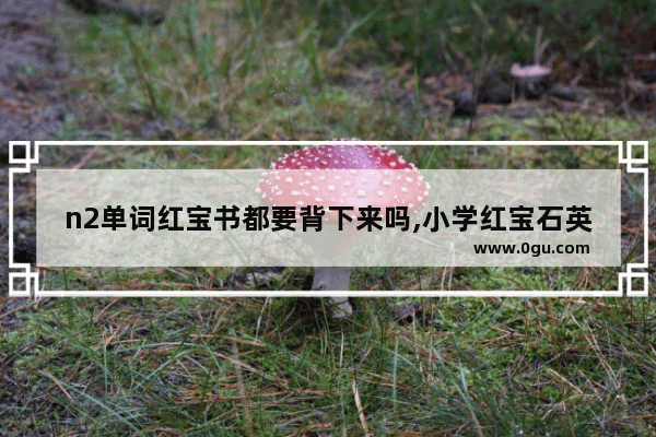n2单词红宝书都要背下来吗,小学红宝石英语语法