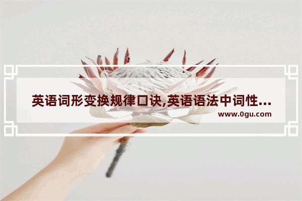 英语词形变换规律口诀,英语语法中词性转换例句