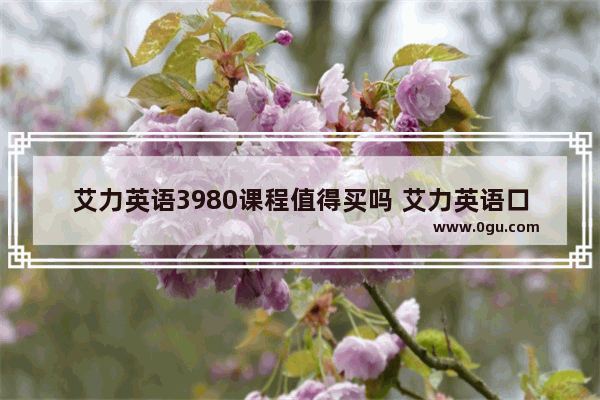 艾力英语3980课程值得买吗 艾力英语口语团怎么样
