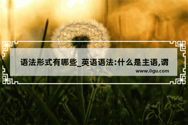 语法形式有哪些_英语语法:什么是主语,谓语,宾语,表语