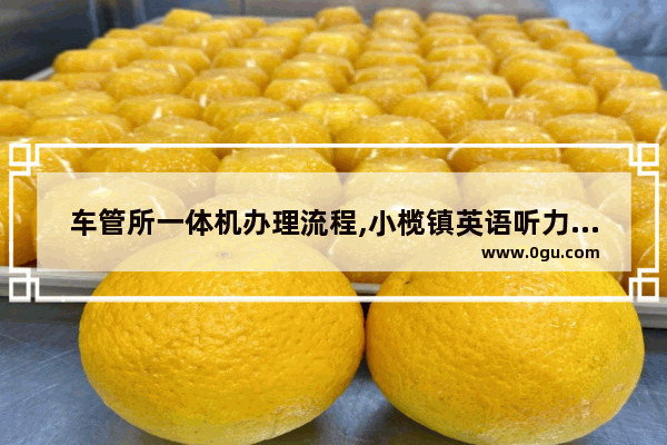 车管所一体机办理流程,小榄镇英语听力比赛