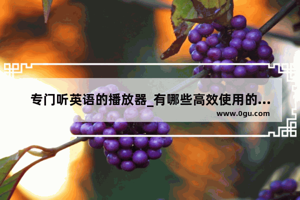 专门听英语的播放器_有哪些高效使用的英语听力App