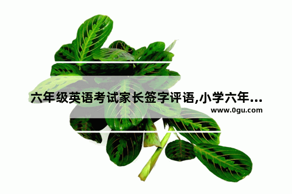 六年级英语考试家长签字评语,小学六年级英语试卷推荐