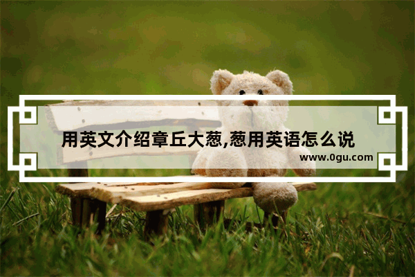 用英文介绍章丘大葱,葱用英语怎么说