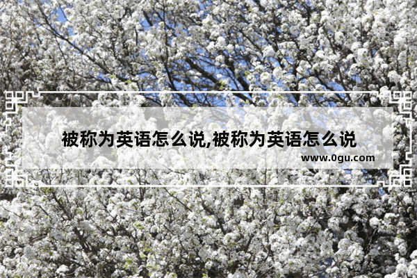 被称为英语怎么说,被称为英语怎么说