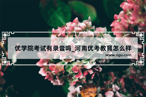 优学院考试有录音吗_河南优考教育怎么样
