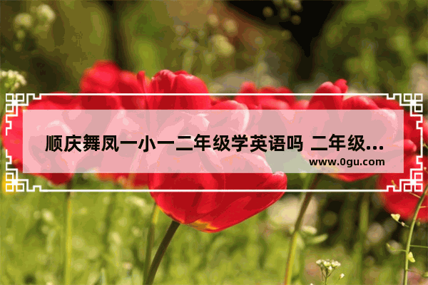 顺庆舞凤一小一二年级学英语吗 二年级孩子学英语口语