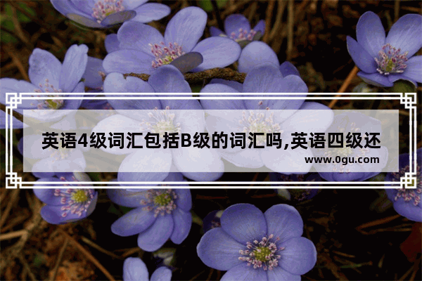 英语4级词汇包括B级的词汇吗,英语四级还分ab吗