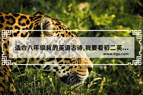 适合八年级背的英语古诗,我要看初二英语语法诗句