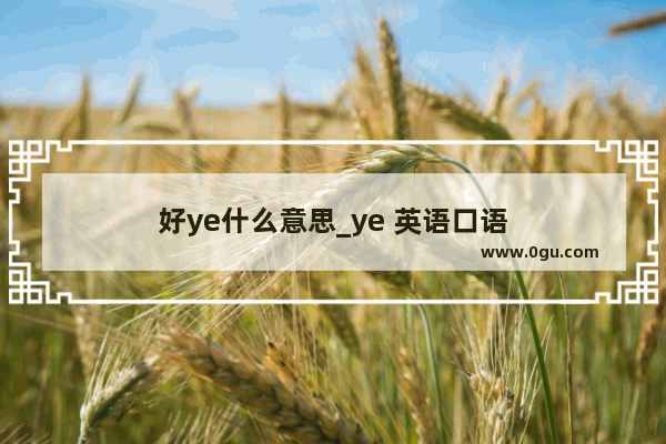 好ye什么意思_ye 英语口语