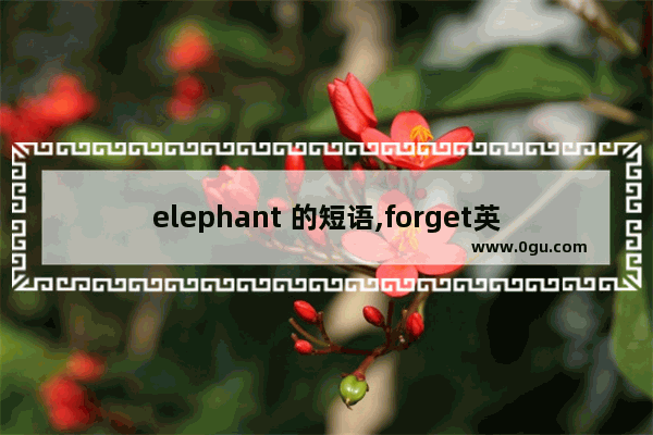elephant 的短语,forget英语口语