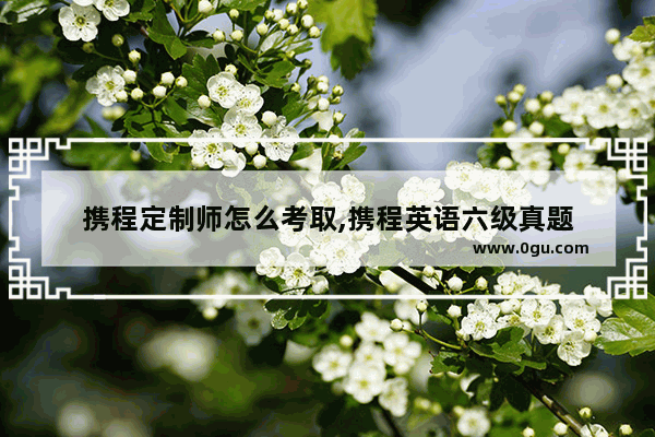 携程定制师怎么考取,携程英语六级真题