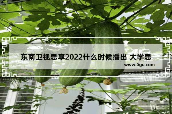 东南卫视思享2022什么时候播出 大学思辨英语听力2022